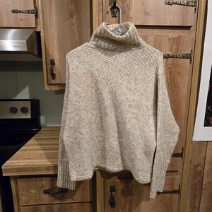 Max Studio Beige Knit Sweater